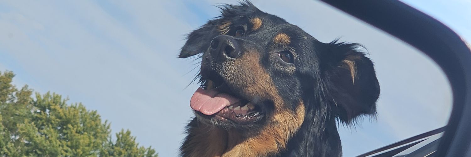 mariahanderson7's profile banner image