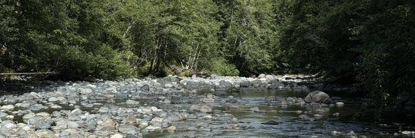 fitzdfitzgerald Profile Banner