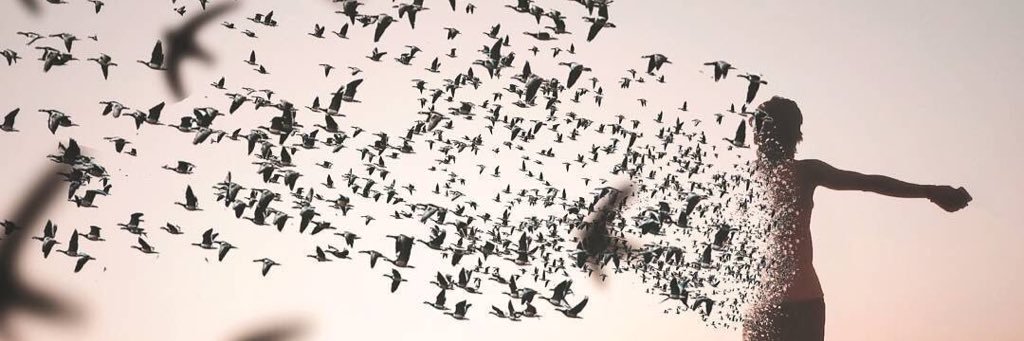 Rsha_A_A's profile banner image