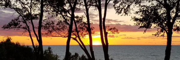 joetigani Profile Banner