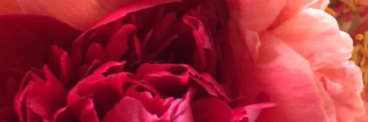 slv_1304's profile banner image