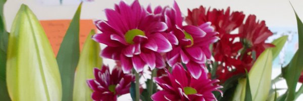 MajellaGolden Profile Banner