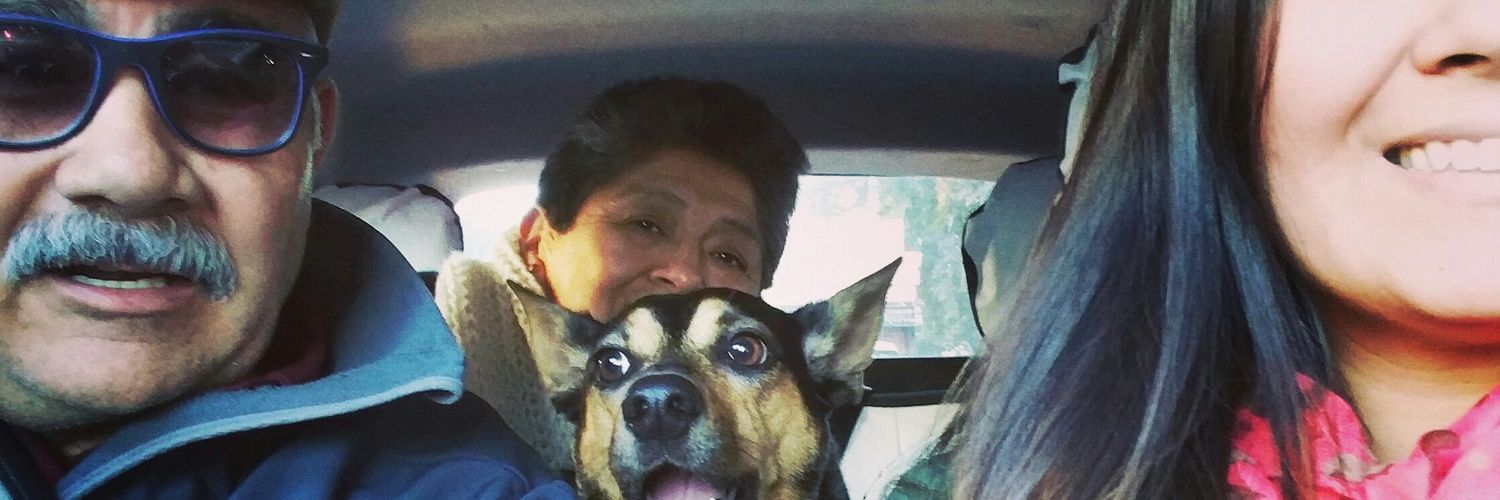 DeboraAragon's profile banner image