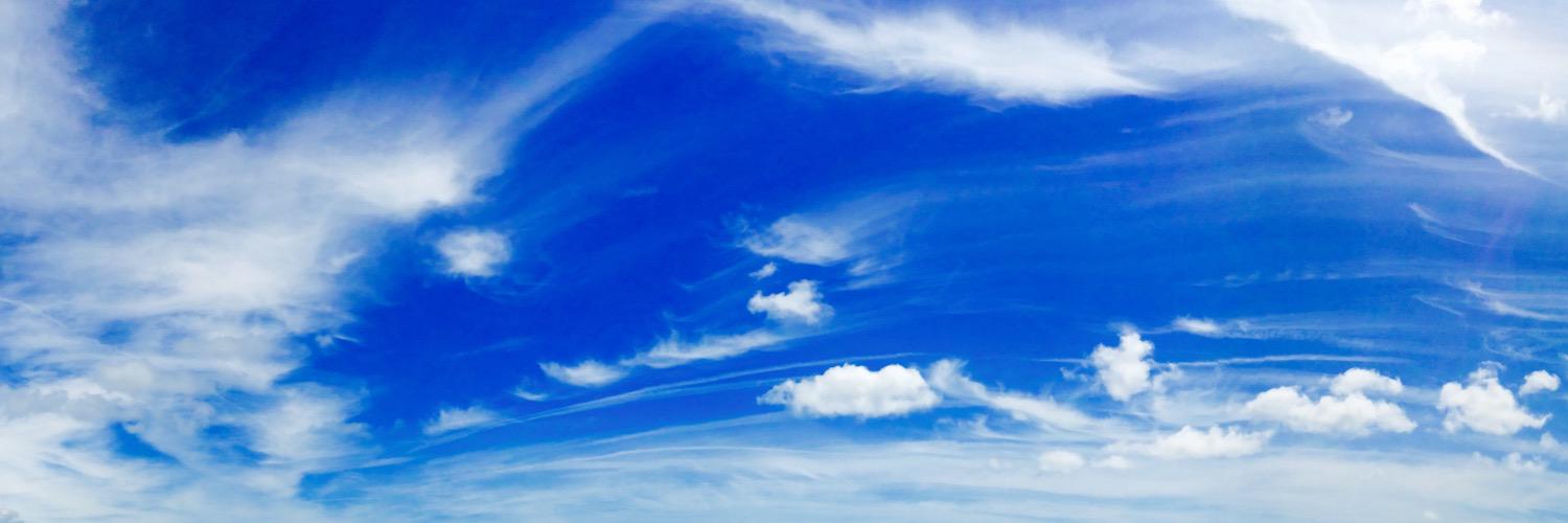 Jasmine Williams banner