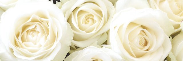 Meijer Roses banner