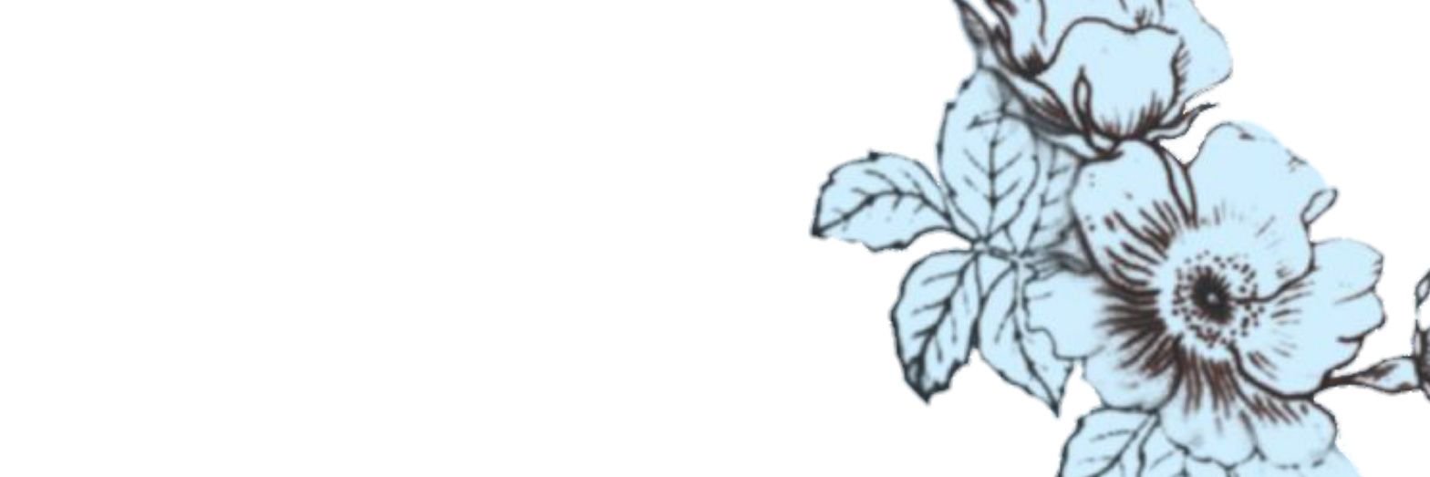 AspiringStray's profile banner image