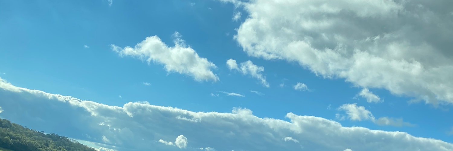 NickyNiknaks's profile banner image