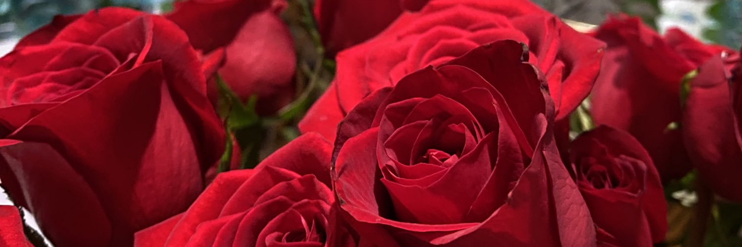 lorena_azocar02's profile banner image