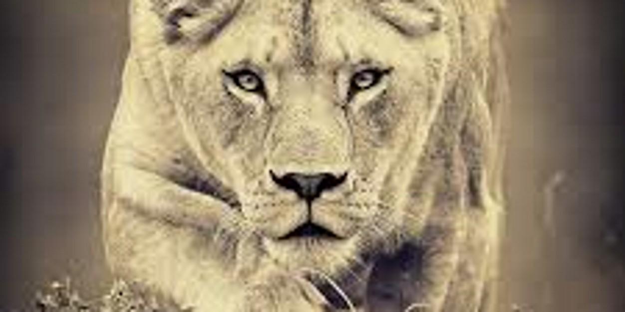 SibaSithole's profile banner image