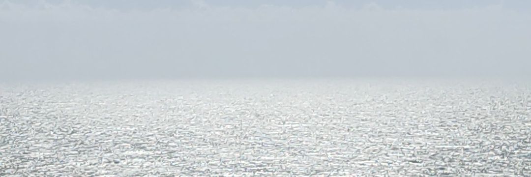 Tomas_valli's profile banner image