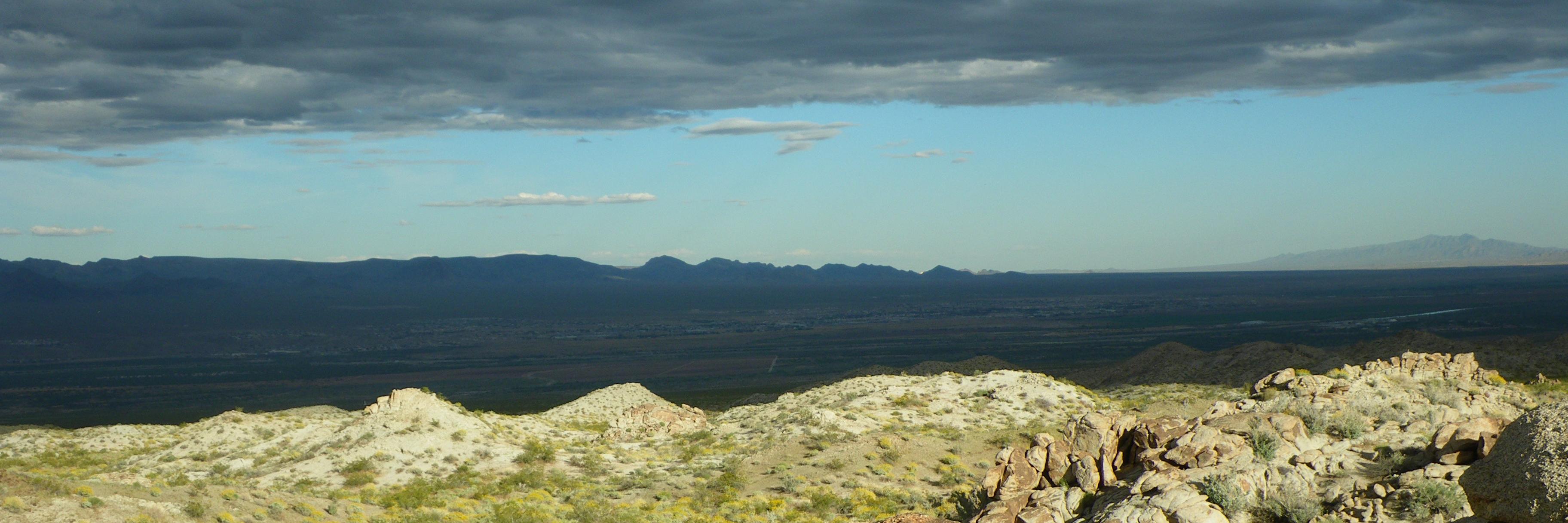 Dr. Cora Baird banner