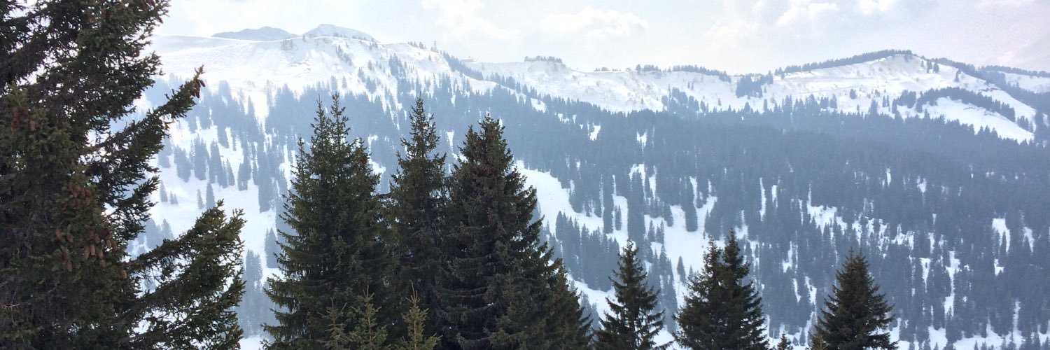 rosiiethomas's profile banner image