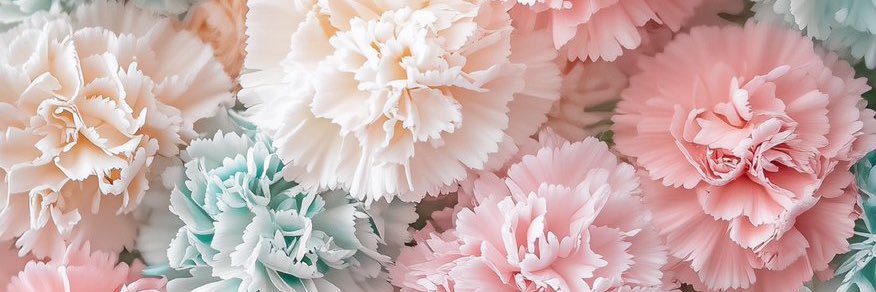 LDaniela27's profile banner image