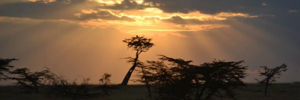 JillianFoote's profile banner image