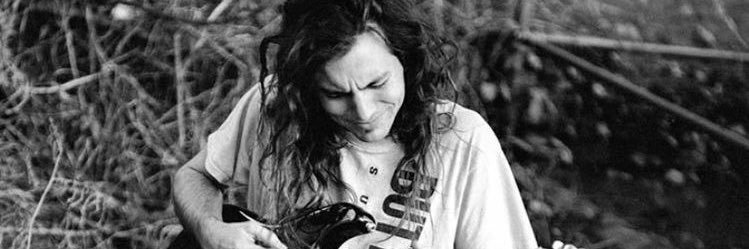 ecosdelsol's profile banner image