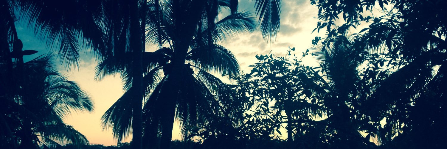 RiskyJonesOwns's profile banner image