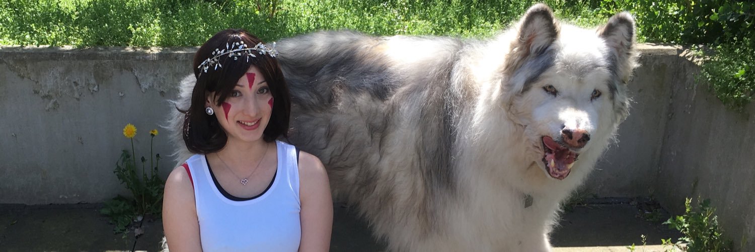 danny_direwolf's profile banner image