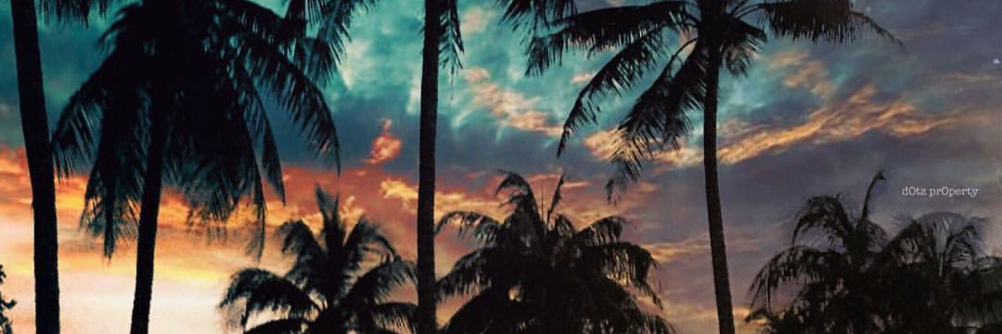 MiluRico's profile banner image