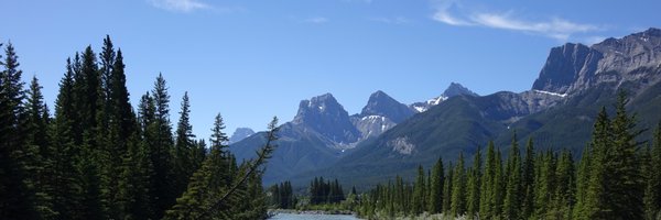 icialberta Profile Banner