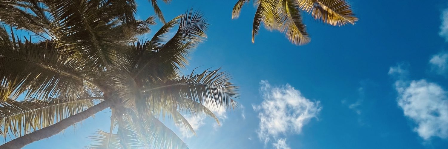 Claire Johnson banner