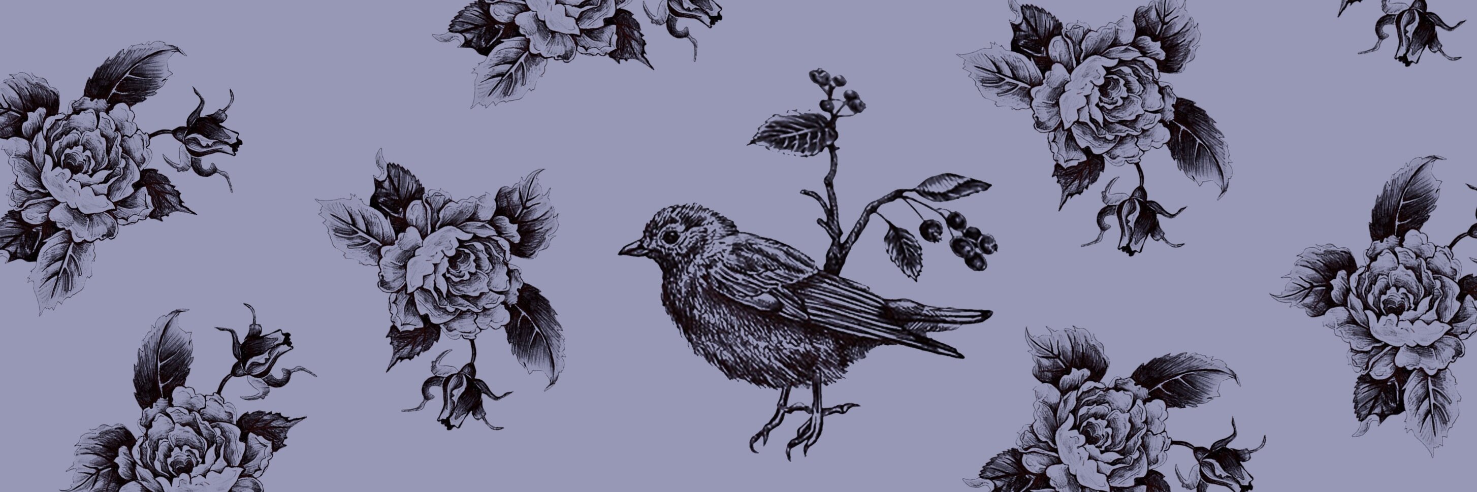 danalisaali's profile banner image