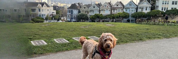 cblakerouse Profile Banner