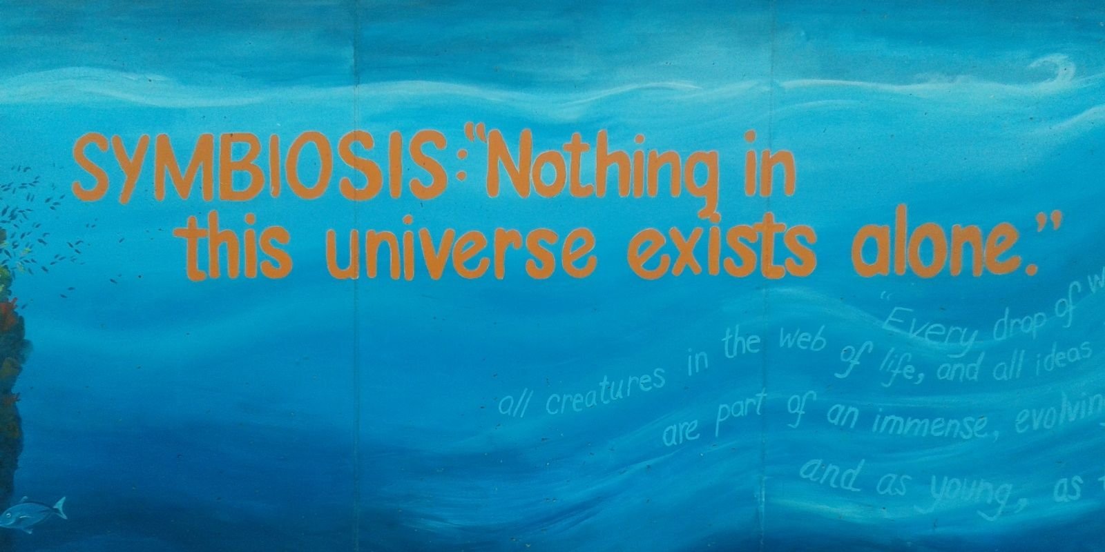 OhCksz's profile banner image
