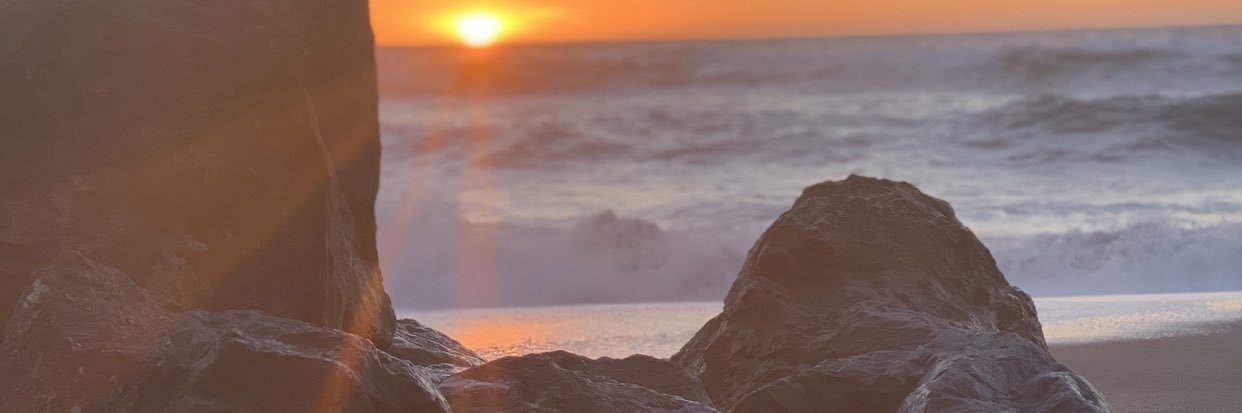 jessierogge's profile banner image