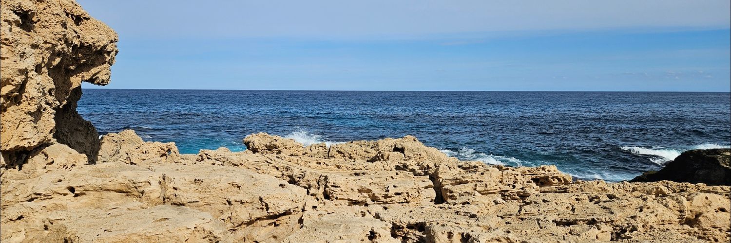 Roberta Maggi banner