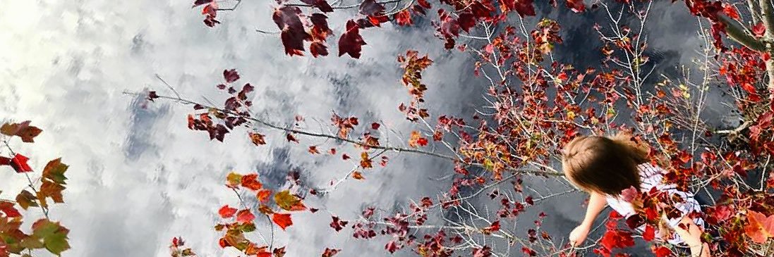 shennunn's profile banner image