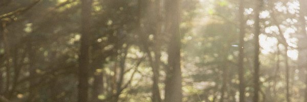 hhhendrixx Profile Banner