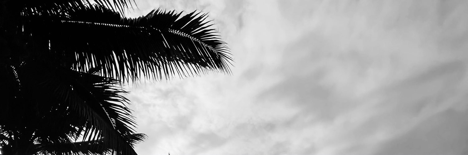 soolcastroo's profile banner image