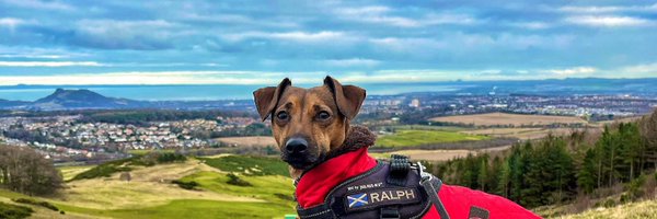 rymoffat Profile Banner