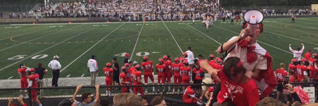 Royal Banner Sports banner