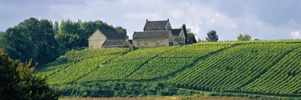 VolgLiegbeest banner