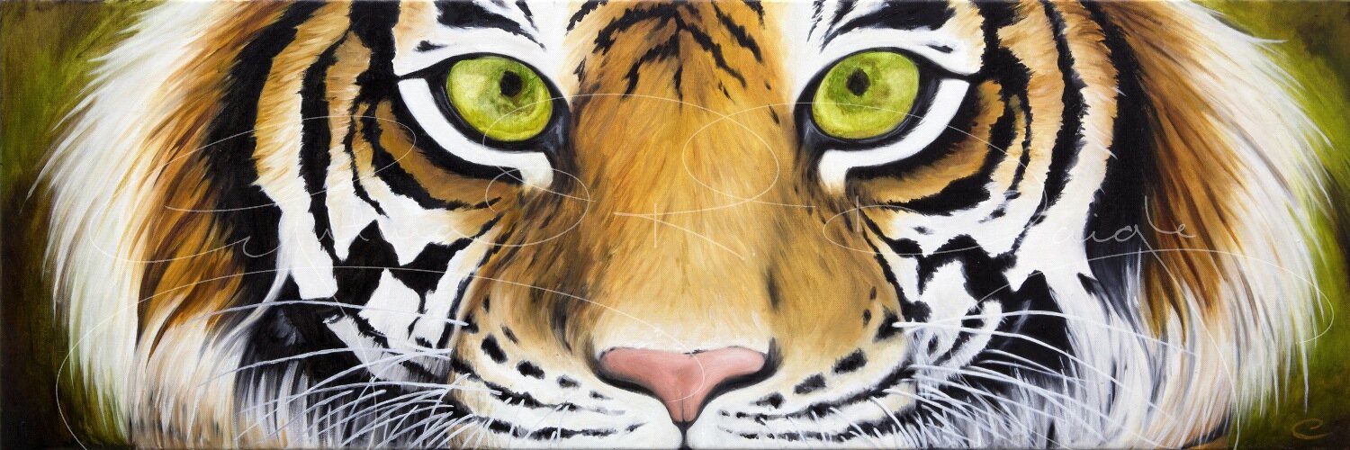 angelsutiger's profile banner image