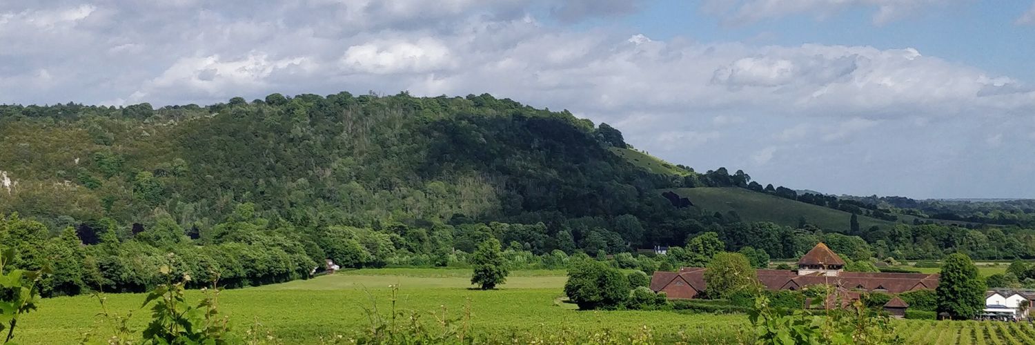 Maria Tumolo 🇹🇹🇬🇧 banner