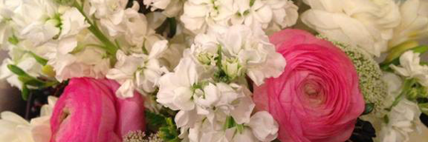 MommyBlogExpert Profile Banner