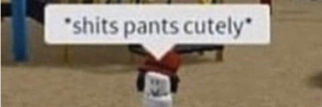 madison 🍂🏳️‍🌈🏴‍☠️ banner