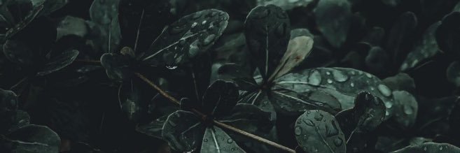 tranck13's profile banner image