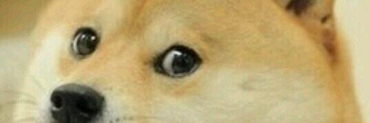 Jesse Leon banner