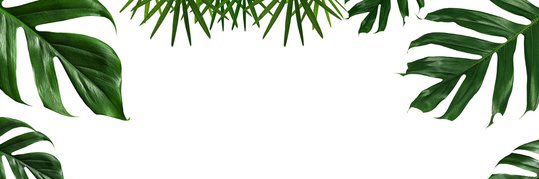 Emma Crossley banner