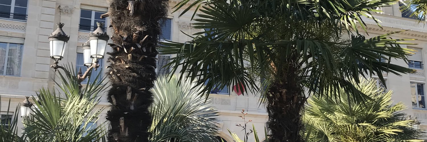 JFLBM's profile banner image