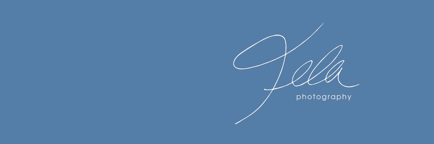 Fela Photography banner