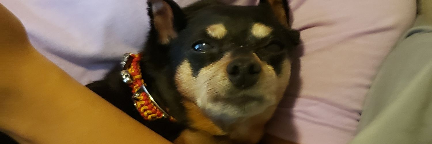 MisticalMarc's profile banner image