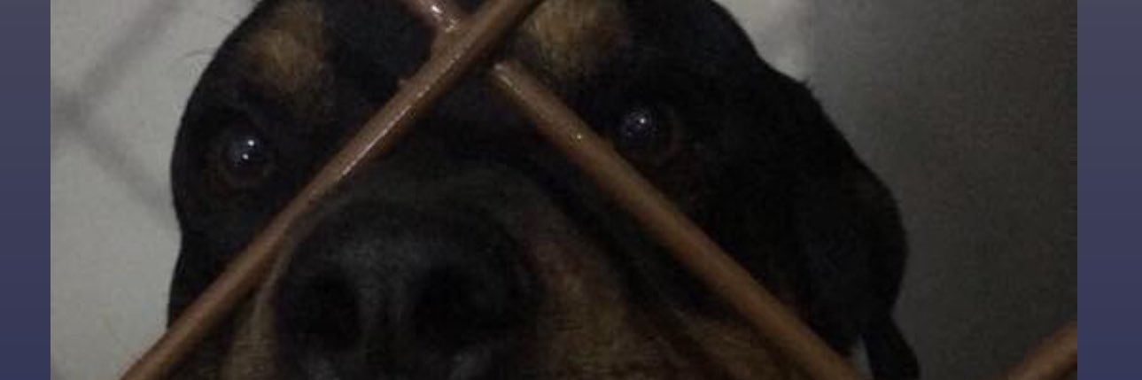 phmatos27's profile banner image