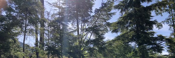 kforce77 Profile Banner