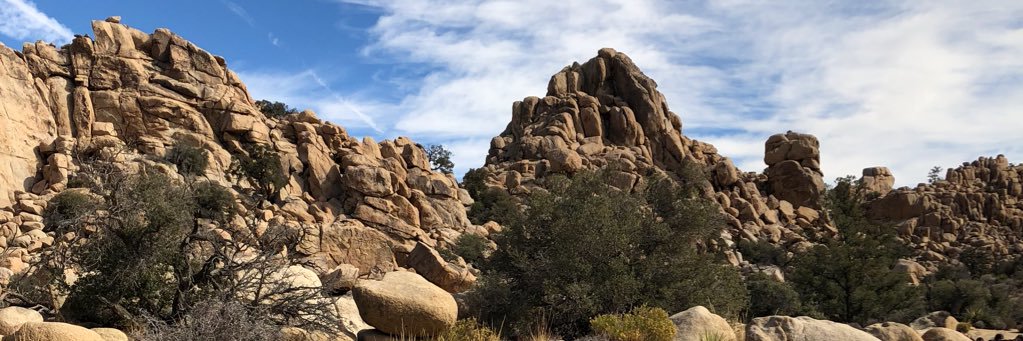 spearscharli's profile banner image