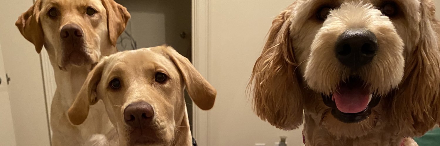 stephsteets_'s profile banner image
