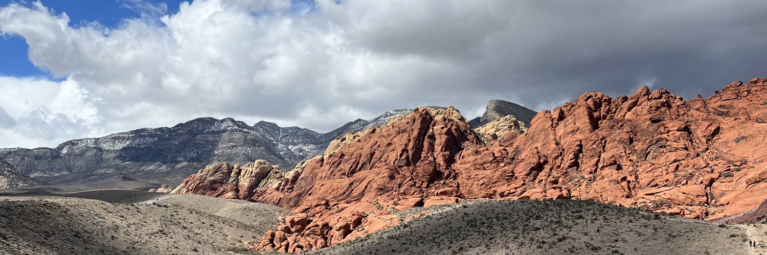 Casey Morrone, MD banner